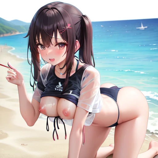 [Holara] Nipples visible through clothing T-shirt Swimsuit See-through On all fours [Illustration]