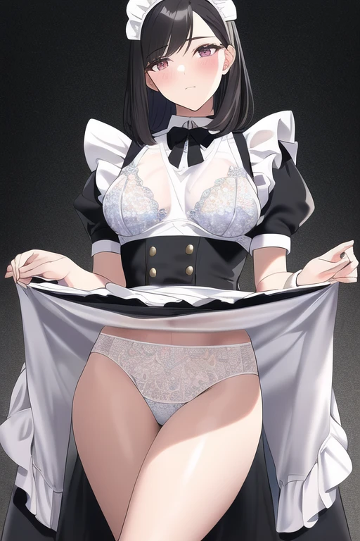 [NovelAI] Gleaming Skin Illustration style See-through Maid uniform Underwear [Illustration]